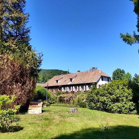 Hotel La Rubanerie Schirmeck Luaran gambar