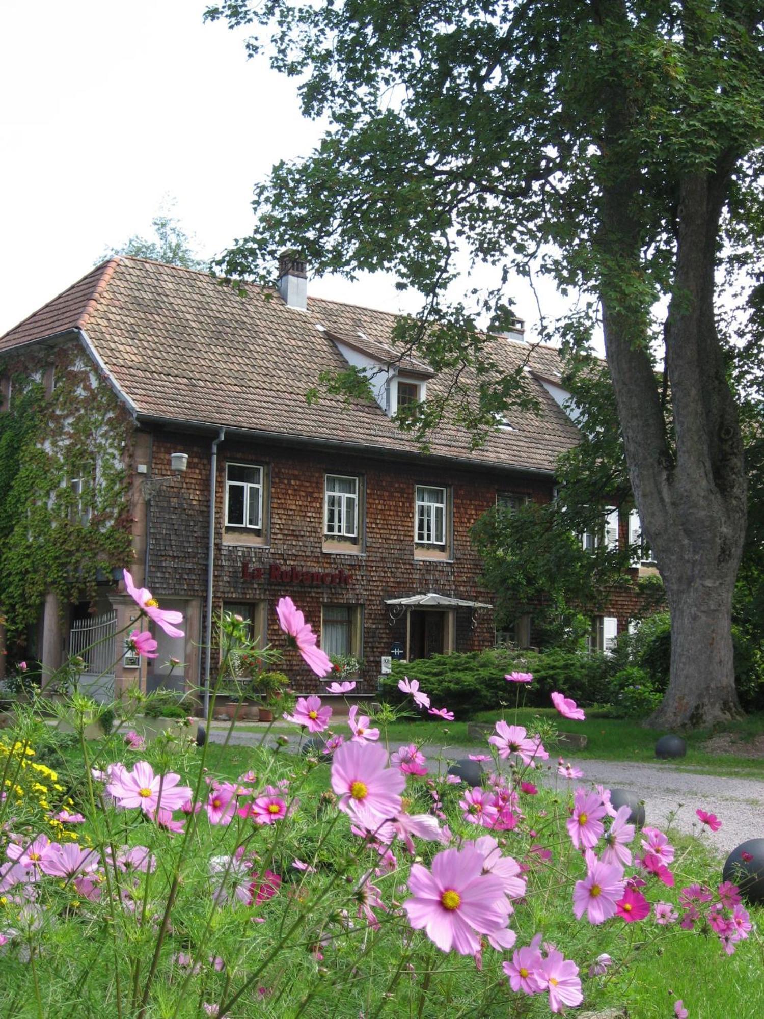 Hotel La Rubanerie Schirmeck Luaran gambar